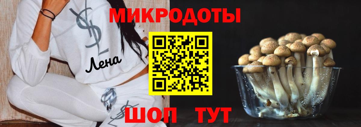 Псилоцибиновые грибы Psilocybe Ярцево
